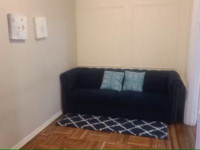 Crown / Albany Apt C1 - Crown Heights, NY