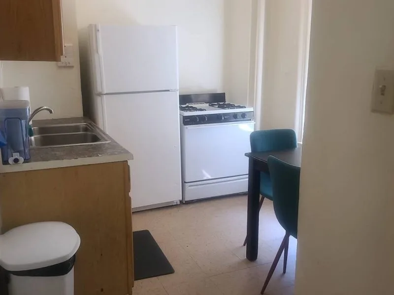 Crown / Albany Apt C1 - Crown Heights, NY