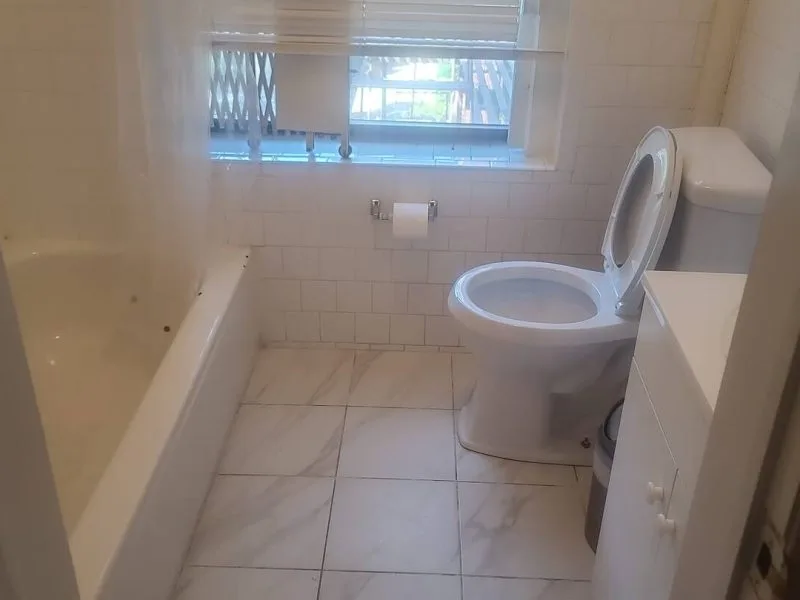 Crown / Albany Apt C1 - Crown Heights, NY