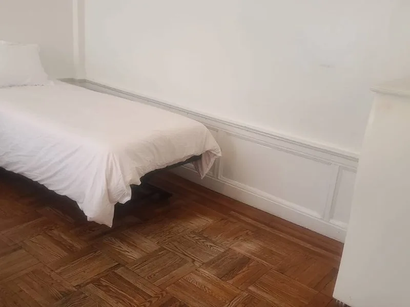 Crown / Albany Apt C1 - Crown Heights, NY