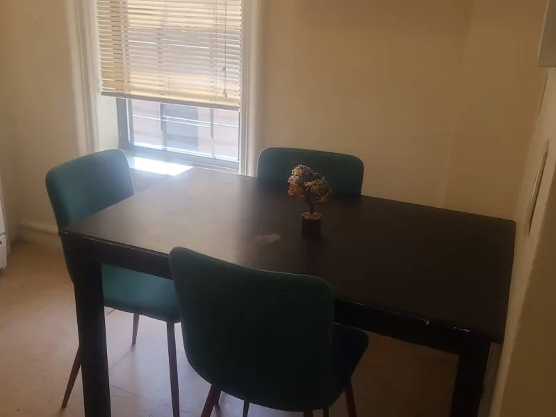 Crown / Albany Apt C1 - Crown Heights, NY