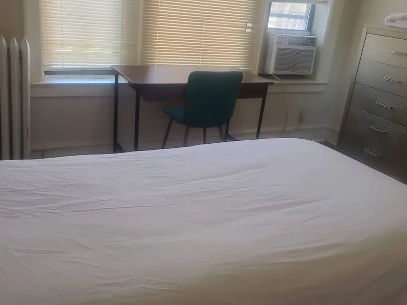 Crown / Albany Apt C1 - Crown Heights, NY