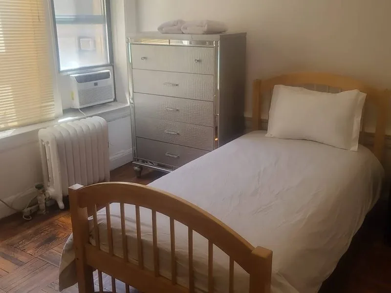 Crown / Albany Apt C1 - Crown Heights, NY