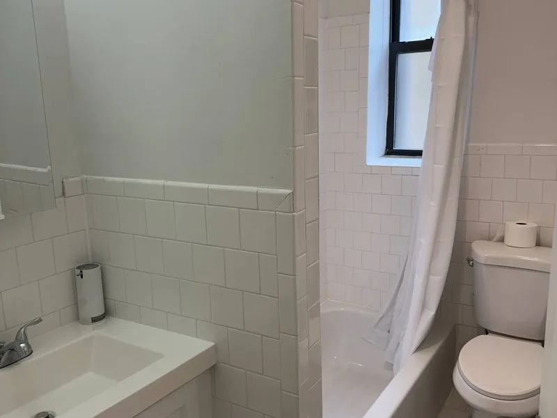 Crown / Albany Apt C8 - Crown Heights, NY