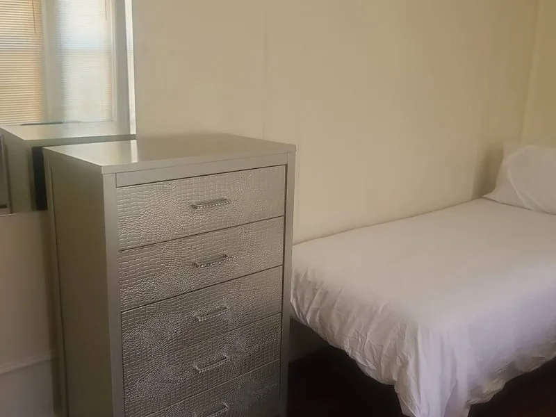 Crown / Albany Apt C1 - Crown Heights, NY