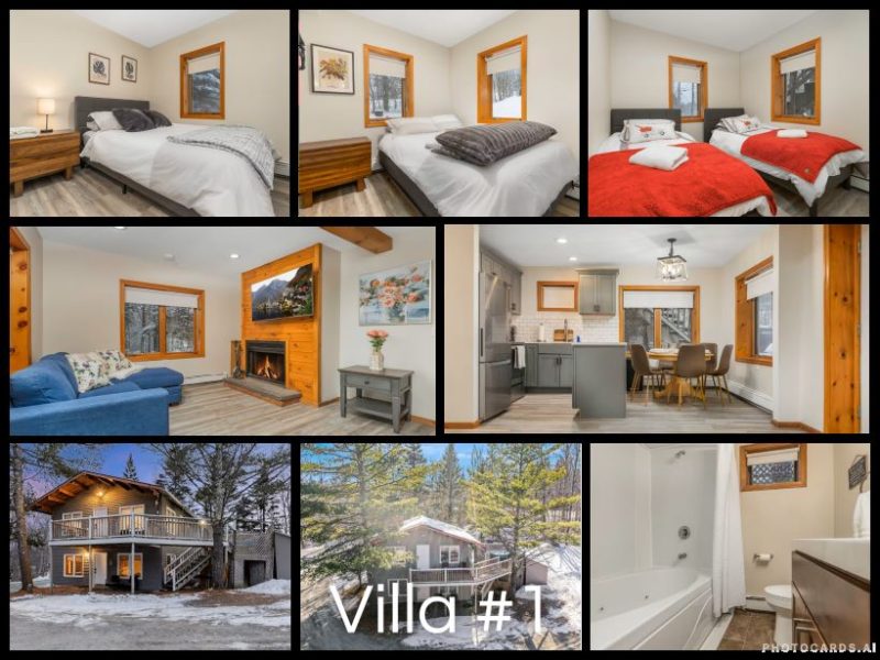 Mount Estate, 6 Villas, Saunas, Jacuzzis, Torah - Vermont