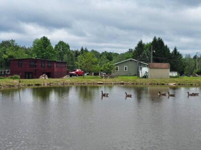 Barn Estate, Lake, Pools - Catskills, Liberty - NY