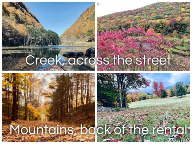Mare Apt - Hunter Mountain, Lanesville, NY