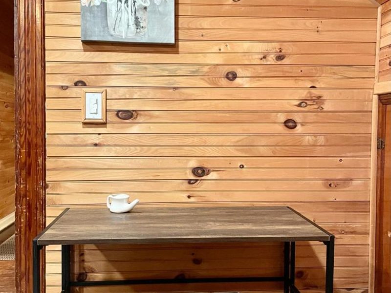 Mare Apt - Hunter Mountain, Lanesville, NY