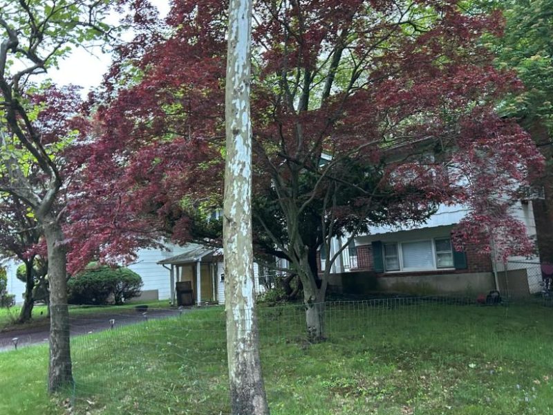 Alma House - Remsen, Main Monsey, NY