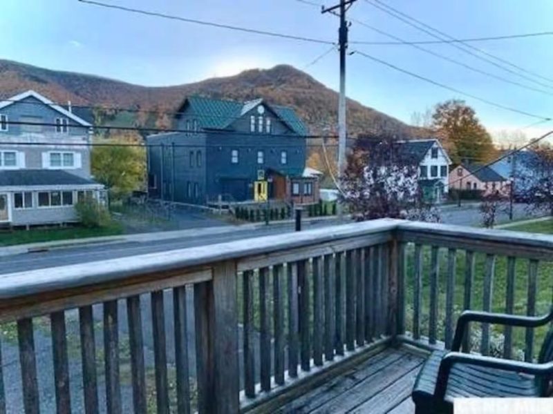 Mare Apt - Hunter Mountain, Lanesville, NY