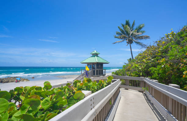 Boca Raton Kosher guide for local attractions 