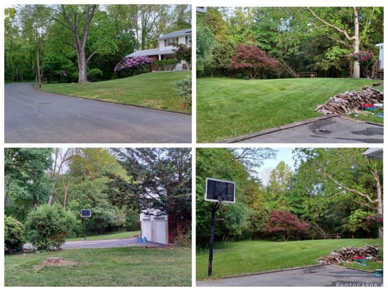 Forest House - Montebello, Monsey, NY